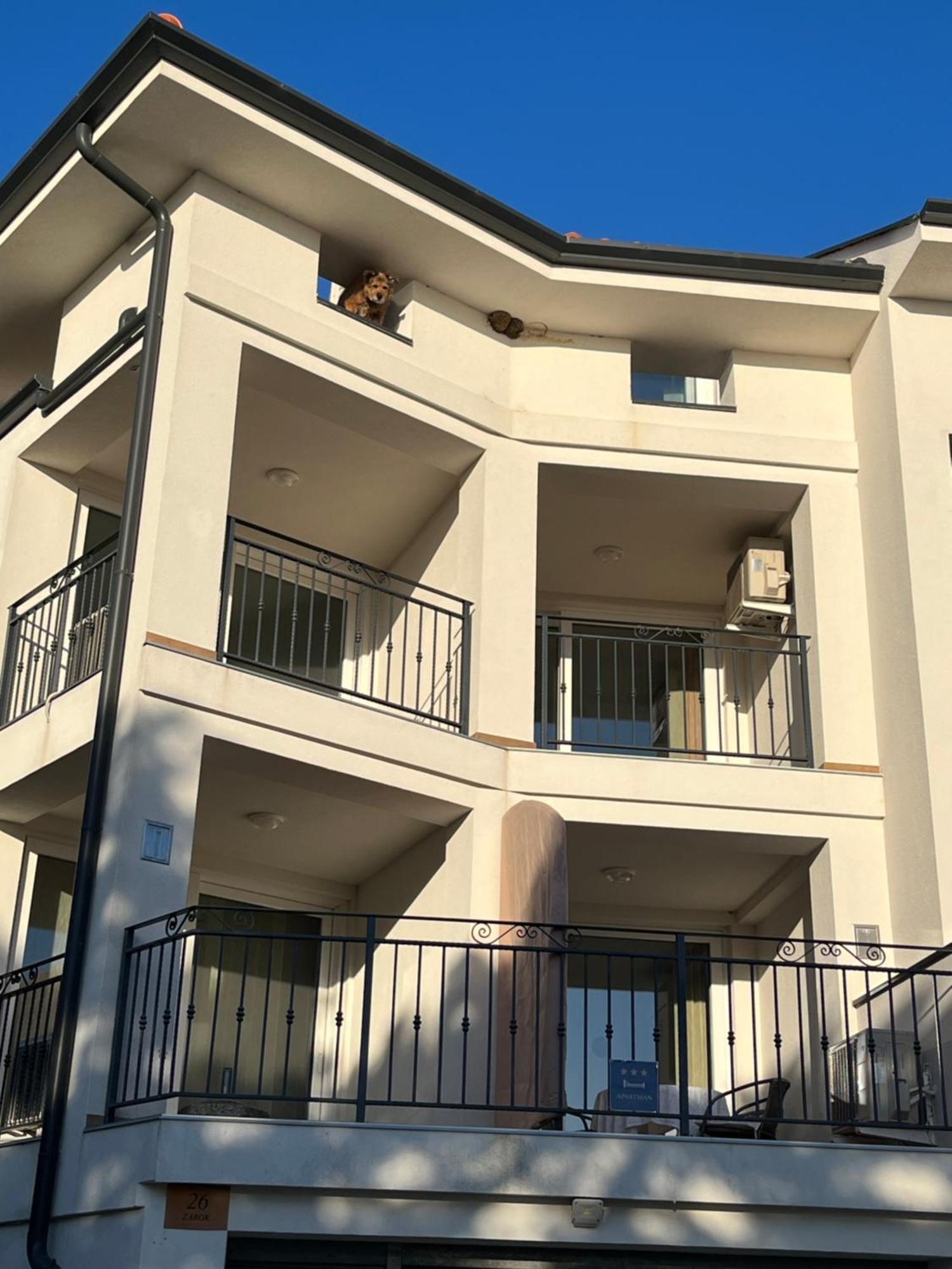 Apartments Amore 巴斯卡 外观 照片
